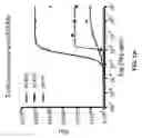 Fig. 40 - Cell engaging binding molecules