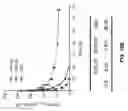 Fig. 50 - Cell engaging binding molecules