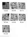 Fig. 05 - Compatibilized thermoplastic vulcanizate compositions