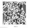 Fig. 06 - Compatibilized thermoplastic vulcanizate compositions