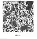 Fig. 07 - Compatibilized thermoplastic vulcanizate compositions