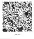 Fig. 08 - Compatibilized thermoplastic vulcanizate compositions