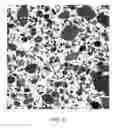 Fig. 09 - Compatibilized thermoplastic vulcanizate compositions