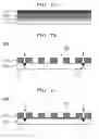 Fig. 02 - METHOD FOR PRODUCING CELL LOCATING PLATE, METHOD FOR PRODUCING MEMBER FOR CONTAINING CELLS, MEMBER FOR CONTAINING CELLS, AND CELL LOCATING PLATE