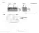 Fig. 131 - Universal donor stem cells and related methods