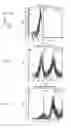 Fig. 03 - ERYTHROID CELLS COMPRISING LYSINE OXIDASE