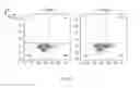 Fig. 22 - ERYTHROID CELLS COMPRISING LYSINE OXIDASE