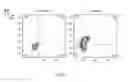 Fig. 32 - ERYTHROID CELLS COMPRISING LYSINE OXIDASE