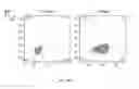 Fig. 33 - ERYTHROID CELLS COMPRISING LYSINE OXIDASE