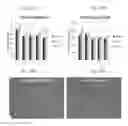 Fig. 45 - ERYTHROID CELLS COMPRISING LYSINE OXIDASE