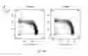Fig. 48 - ERYTHROID CELLS COMPRISING LYSINE OXIDASE