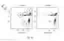 Fig. 49 - ERYTHROID CELLS COMPRISING LYSINE OXIDASE