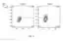 Fig. 07 - ERYTHROID CELLS COMPRISING SERINE DEHYDRATASE
