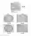 Fig. 07 - Three Dimensional Bioprinted Tumor Models for Drug Testing