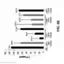 Fig. 06 - Compositions and Methods for Inhibiting Expression of Transthyretin