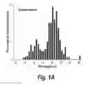 Fig. 02 - Process of delivering small RNAs to sperm