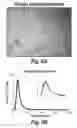 Fig. 12 - Process of delivering small RNAs to sperm