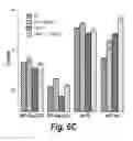 Fig. 13 - Process of delivering small RNAs to sperm