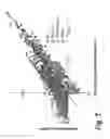 Fig. 14 - Process of delivering small RNAs to sperm
