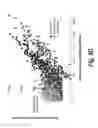 Fig. 17 - Process of delivering small RNAs to sperm