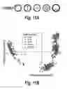 Fig. 25 - Process of delivering small RNAs to sperm