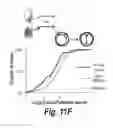 Fig. 28 - Process of delivering small RNAs to sperm