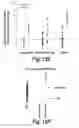 Fig. 43 - Process of delivering small RNAs to sperm