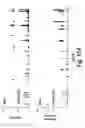 Fig. 45 - Process of delivering small RNAs to sperm