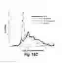 Fig. 48 - Process of delivering small RNAs to sperm