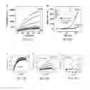 Fig. 06 - Materials and methods for rapid and sensitive detection of small-molecule targets