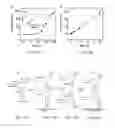 Fig. 07 - Materials and methods for rapid and sensitive detection of small-molecule targets