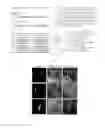 Fig. 07 - METHOD OF GENERATING STRESS TOLERANT PLANTS OVER-EXPRESSING CARRP1, REAGENTS AND USES THEREOF