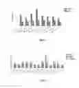 Fig. 06 - CHIMERIC POST-TRANSCRIPTIONAL REGULATORY ELEMENT