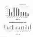 Fig. 07 - CHIMERIC POST-TRANSCRIPTIONAL REGULATORY ELEMENT
