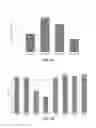 Fig. 09 - CHIMERIC POST-TRANSCRIPTIONAL REGULATORY ELEMENT