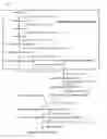 Fig. 02 - RECOMBINANT CELLS AND METHOD FOR PRODUCING ISOPRENE OR TERPENE