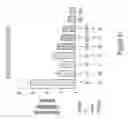 Fig. 44 - RNA polymerase variants