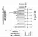 Fig. 49 - RNA polymerase variants