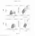 Fig. 09 - Methods and compositions for detecting or measuring caspases or apoptosis