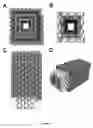 Fig. 07 - Membrane-spanning nanopores