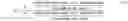 Fig. 04 - MULTIMODAL ASSAY FOR DETECTING NUCLEIC ACID ABERRATIONS