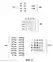 Fig. 06 - Spatially encoded biological assays