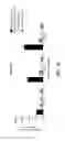 Fig. 85 - CRISPR effector system based diagnostics