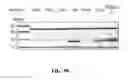 Fig. 99 - CRISPR effector system based diagnostics
