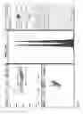 Fig. 07 - Sperm nuclei and methods of their manufacture and use