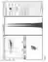 Fig. 09 - Sperm nuclei and methods of their manufacture and use