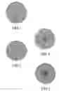 Fig. 02 - PROCESS OF MAKING TEXTURED MULTICOMPONENT FIBERS