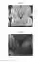 Fig. 06 - PROCESS OF MAKING TEXTURED MULTICOMPONENT FIBERS