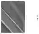 Fig. 167 - Silk performance apparel and products and methods of preparing the same