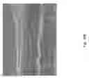 Fig. 197 - Silk performance apparel and products and methods of preparing the same